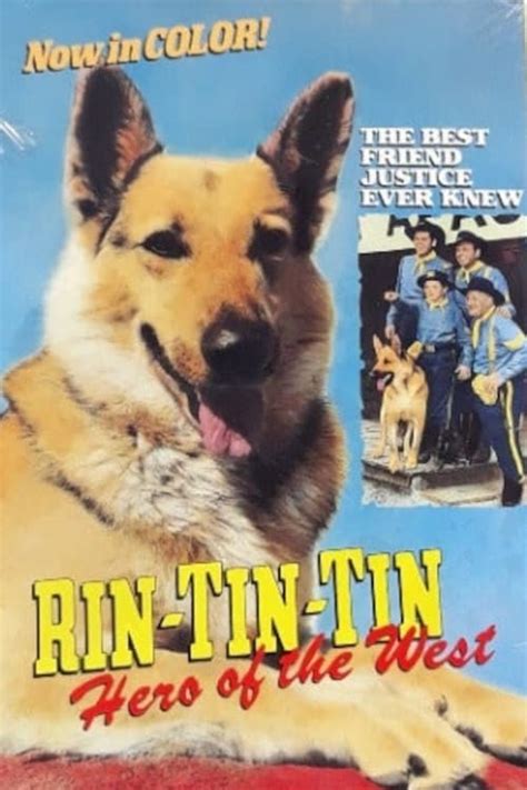 Adventures Of Rin Tin Tin: Een Heldhaftige Duitse Herder Die De Wildste Gevallen Van Het Wilde Westen Overwint!