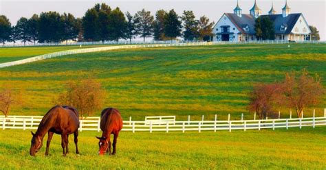  Old Kentucky: De Romantiek van het Wilde Westen en een Verbluffende Vlucht op Paard!