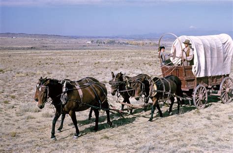  Wagon Train: Een epische reis door het Wilde Westen met stoere pioniers en onverwachte gevaren!